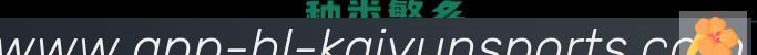 奖项证书